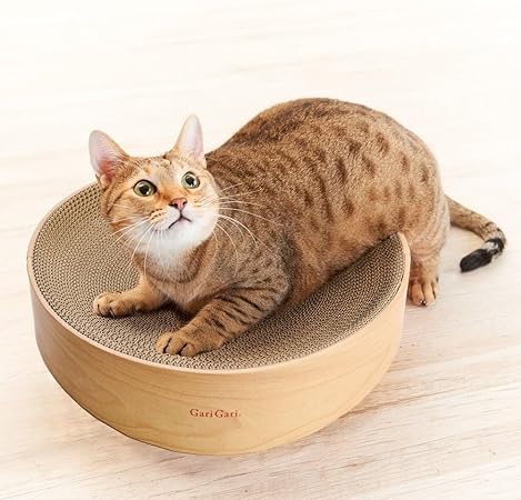 ガリガリディッシュ　ライト　ナチュラルウッド